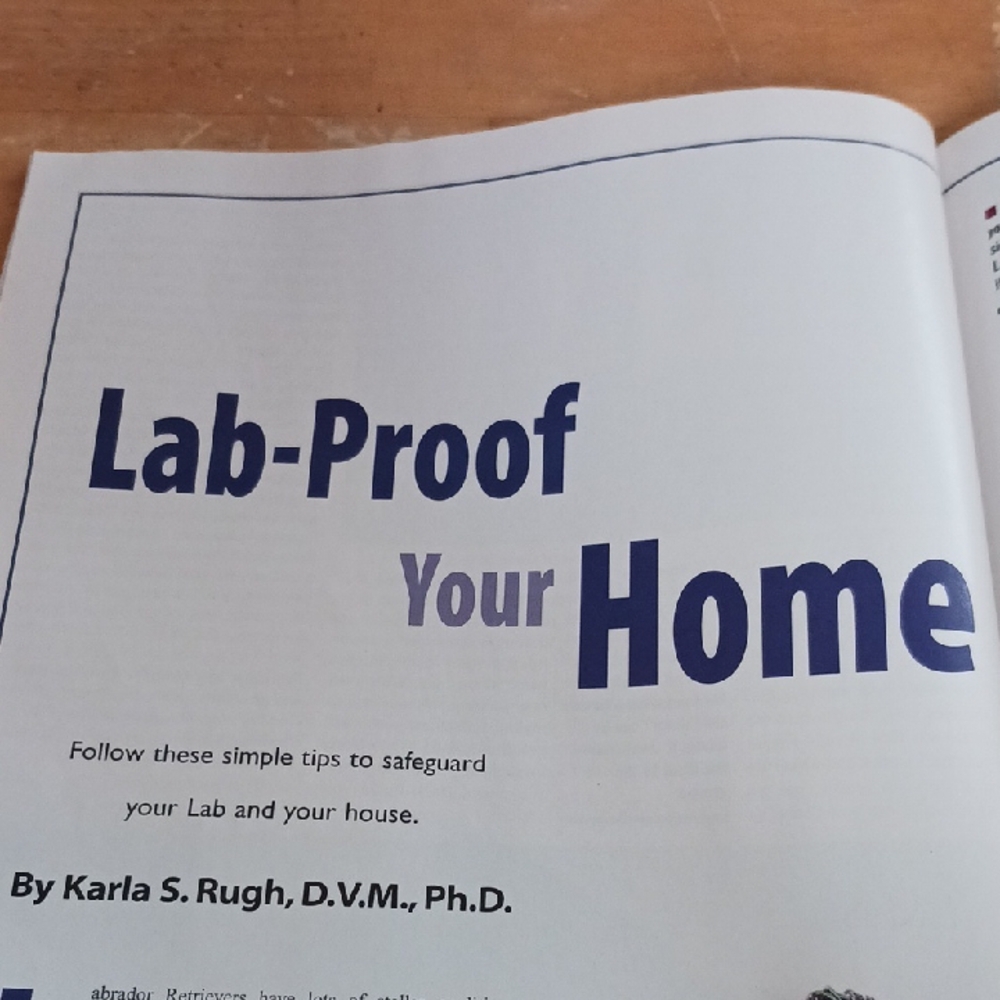 Training Secrets for Labrador Retrievers Magazine - Picture 2 of 7